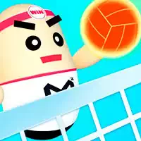 3d_amazing_volleyball Խաղեր