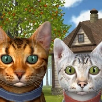 Cat Simulator តាមអ៊ីនធឺណិត