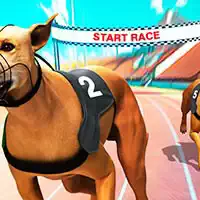 crazy_dog_racing_fever Trò chơi