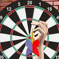 Darts 501 And More