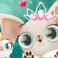 hollywood_fashion_pets Giochi