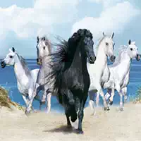 horses_puzzle permainan