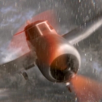 ສູນເສຍໃນຫນ່ວຍປ່າ