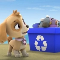 paw_patrol_beach_cleaning Giochi