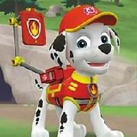 Paw Patrol Bliv Sorteret