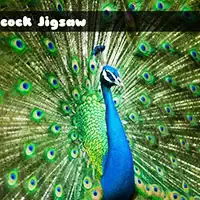 peacock_jigsaw ហ្គេម