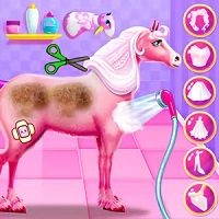 princess_horse_caring เกม