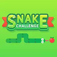snake_challenge Spellen