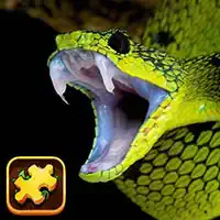 snake_puzzle_challenge Ойындар