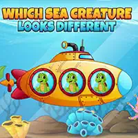 which_sea_creature_looks_different Spiele