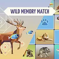 wild_memory Ойындар